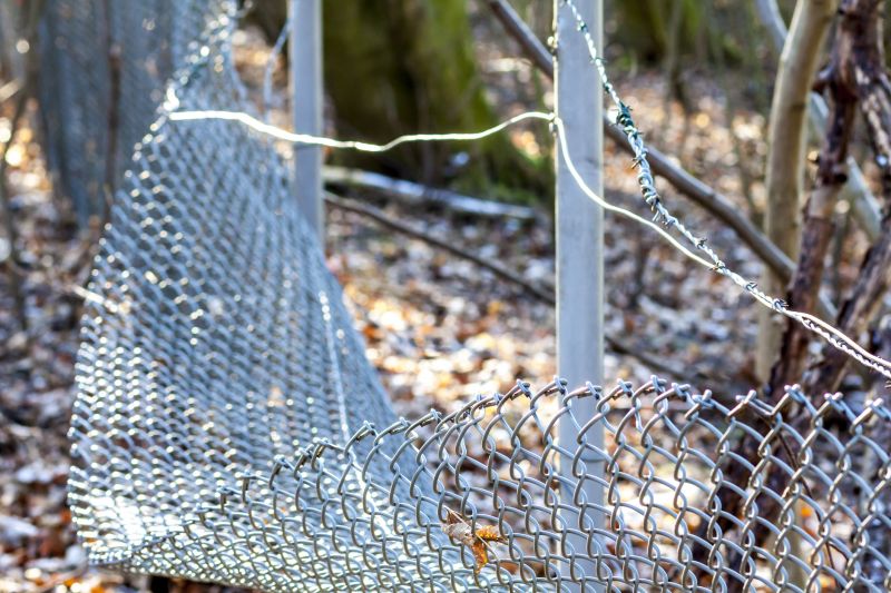 Boundary Fence Repair